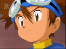 Tai