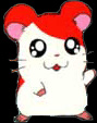 Hamtaro